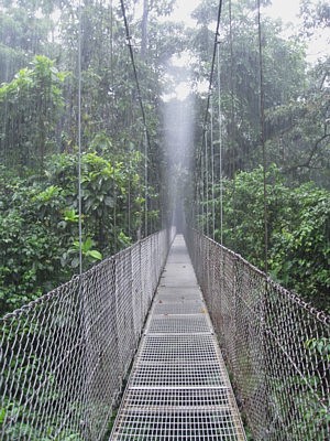 Arenal Hanging Bridges Rain Forest Park