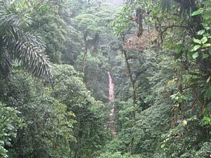 Arenal Hanging Bridges Park View