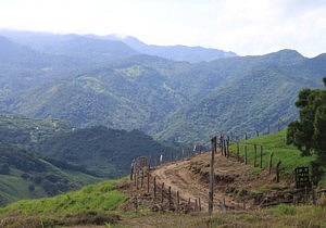 The Road Trip From Hell to Monteverde