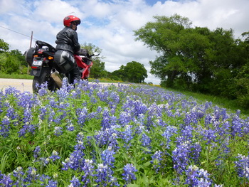 The I-BMW 2016 Hill Country Rally!